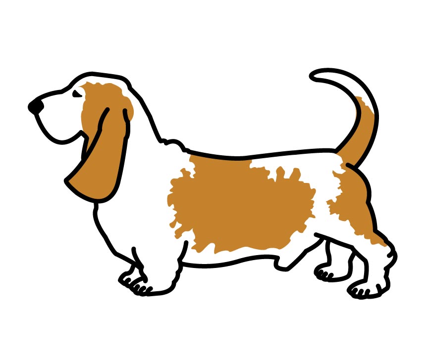 another digital drawing of a Basset Hound dog